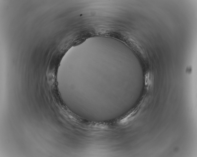 X0000089961011200707201943