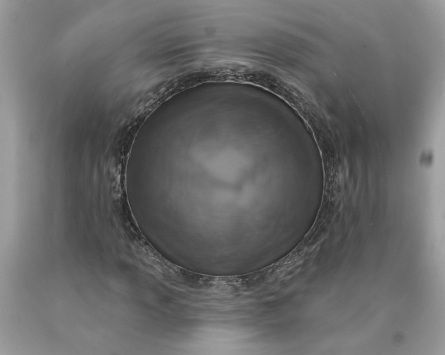 X0000089961013200707201943