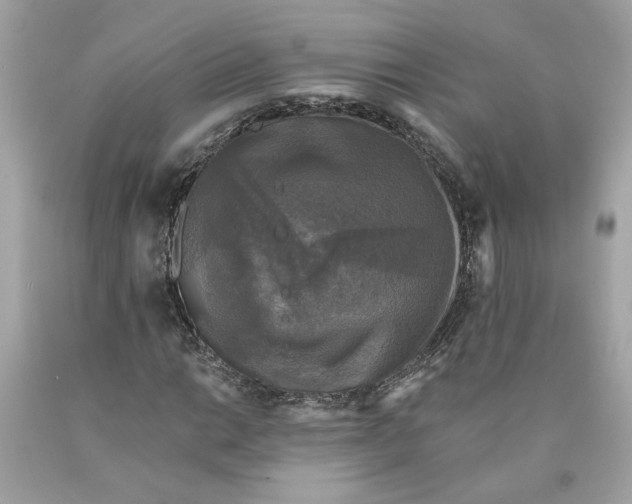 X0000089961014200707201943