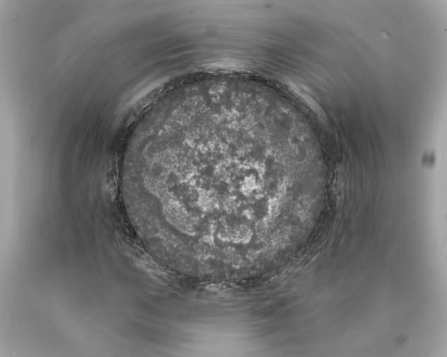 X0000089961015200707201943