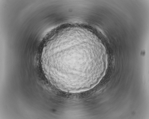 X0000089961016200707201943