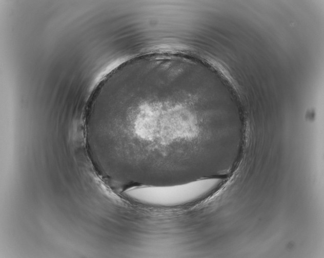 X0000089961018200707201943