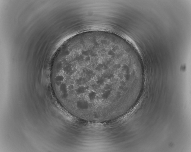 X0000089961019200707201943