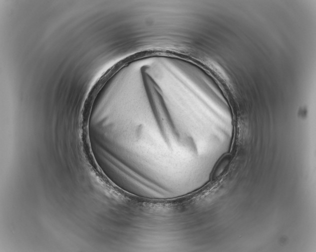 X0000089961020200707201943