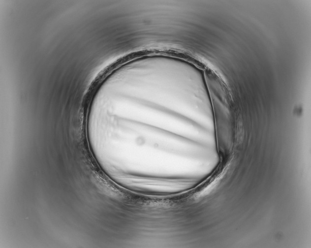 X0000089961021200707201943