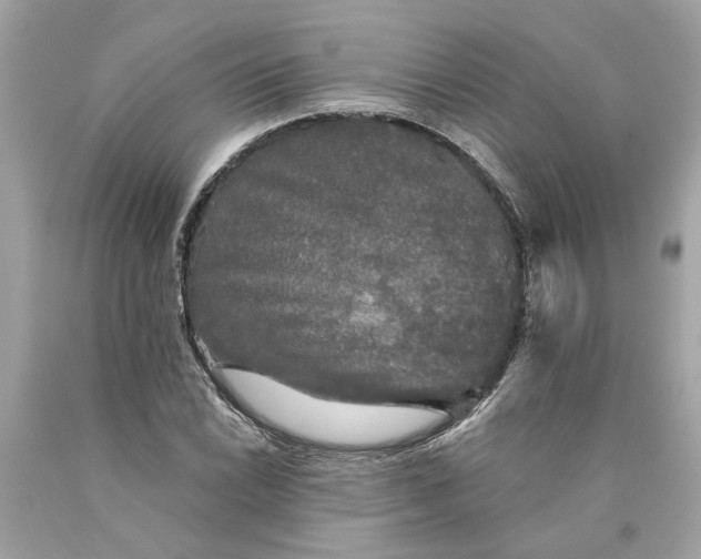 X0000089961022200707201943