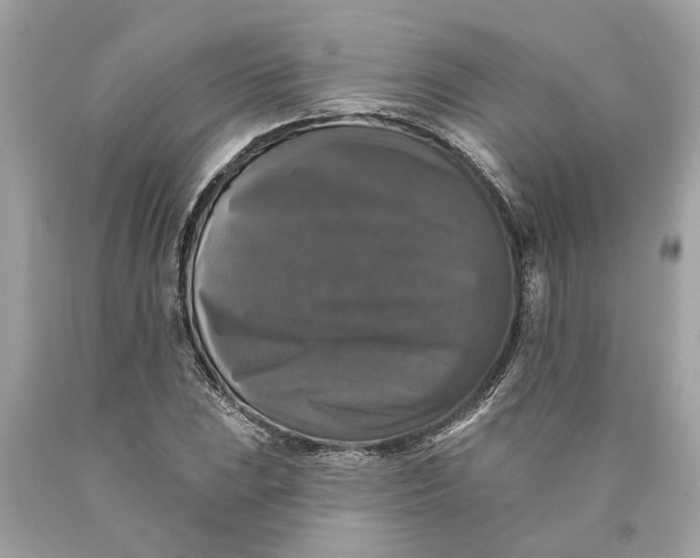 X0000089961023200707201944