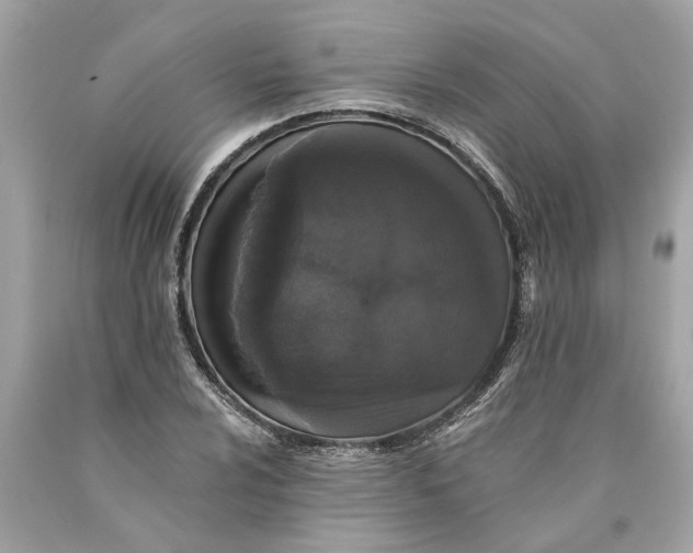 X0000089961024200707201944