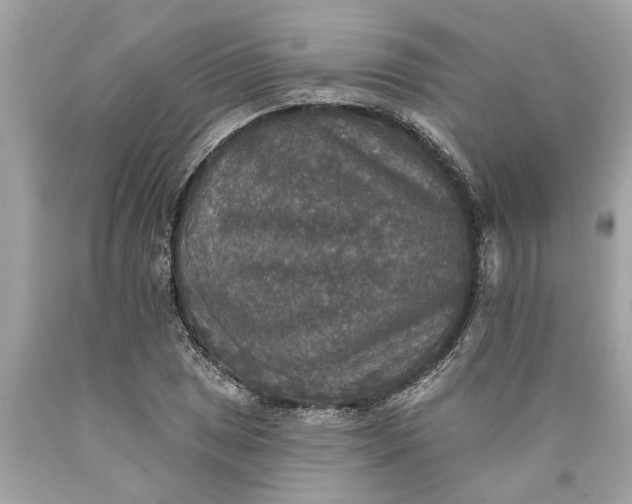 X0000089961025200707201944