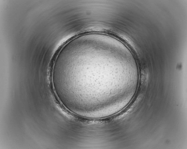 X0000089961026200707201944