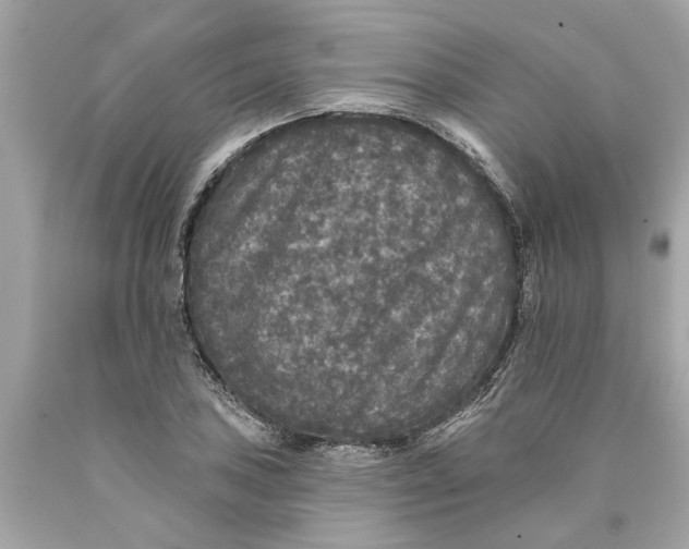 X0000089961027200707201944