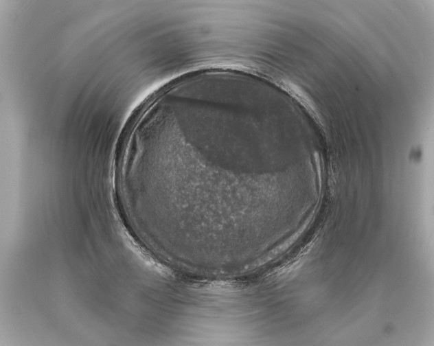 X0000089961028200707201944