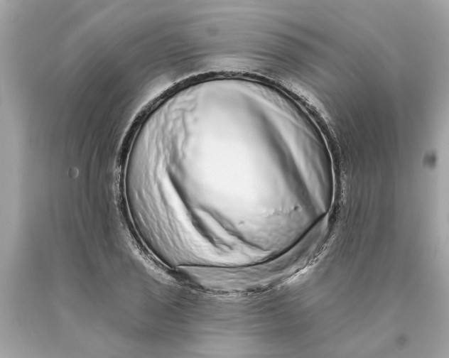 X0000089961029200707201944