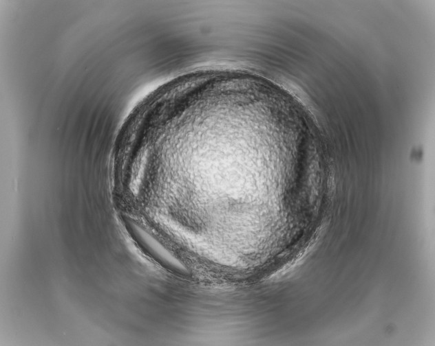 X0000089961030200707201944