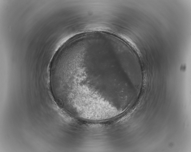 X0000089961031200707201944