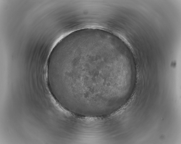 X0000089961032200707201944