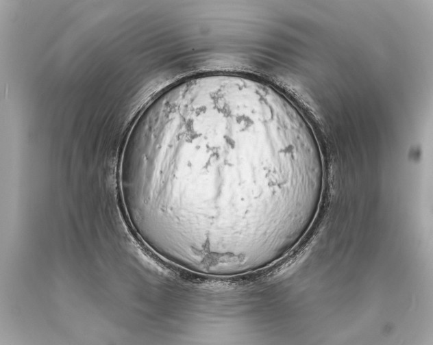 X0000089961033200707201944