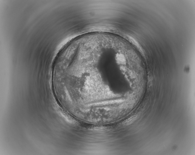 X0000089961035200707201944