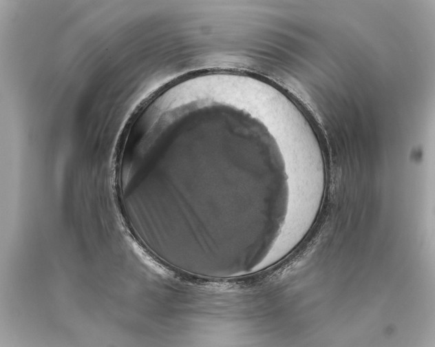 X0000089961037200707201944