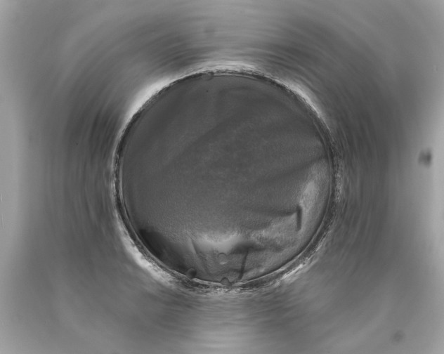 X0000089961038200707201944