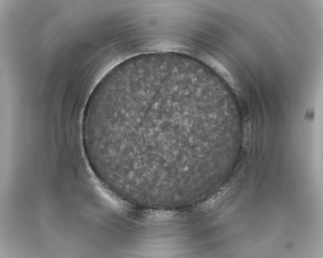 X0000089961039200707201944