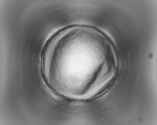 X0000089961040200707201944