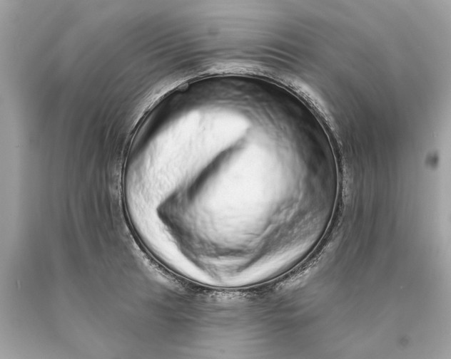 X0000089961041200707201944