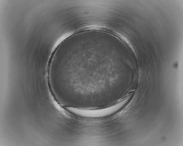 X0000089961042200707201944