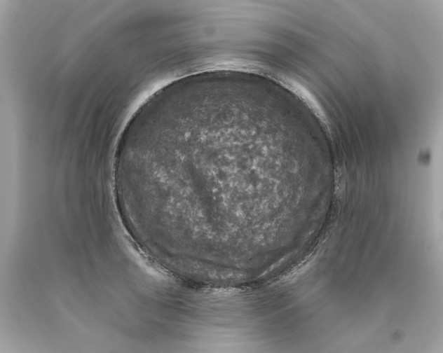 X0000089961043200707201944