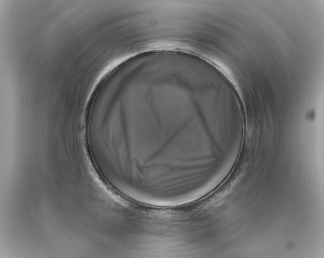 X0000089961045200707201944