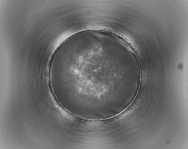 X0000089961046200707201944