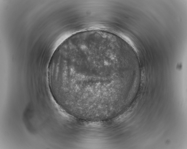 X0000089961047200707201944