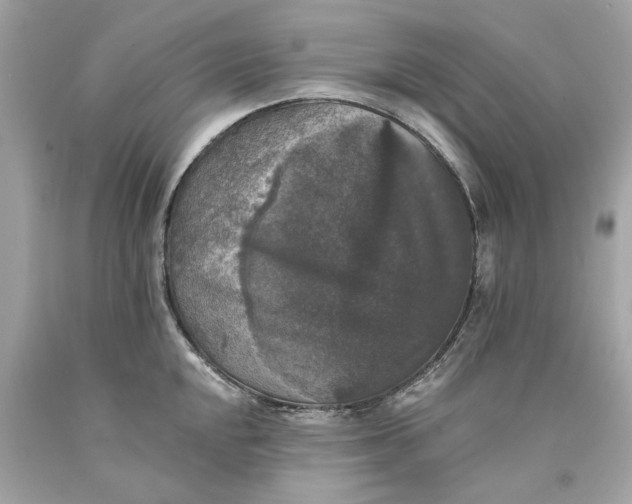 X0000089961048200707201944