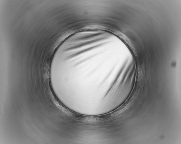 X0000089961049200707201944