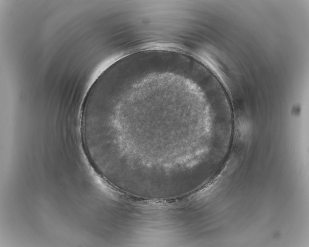 X0000089961050200707201944