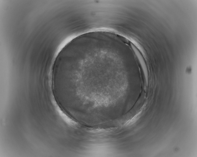 X0000089961054200707201944