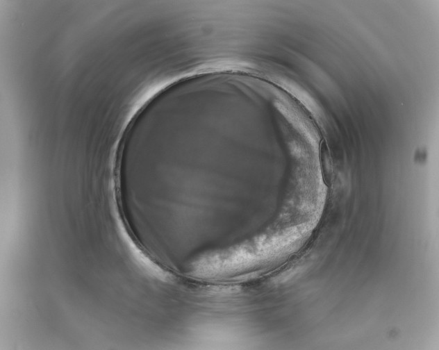 X0000089961055200707201944