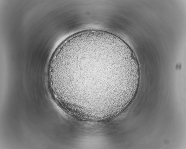 X0000089961056200707201944