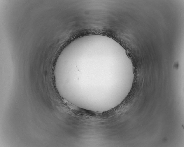 X0000089961057200707201943