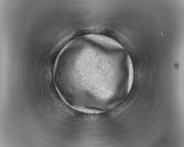 X0000089961058200707201943