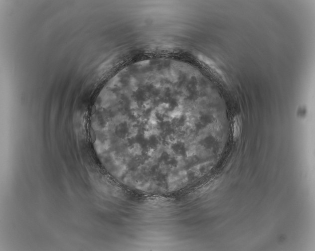 X0000089961059200707201943