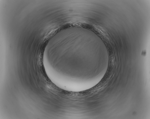 X0000089961060200707201943