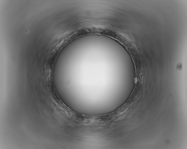 X0000089961061200707201943