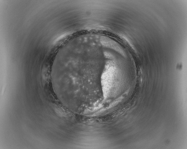 X0000089961063200707201943