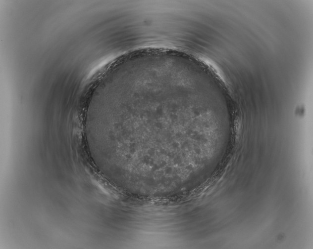 X0000089961064200707201943