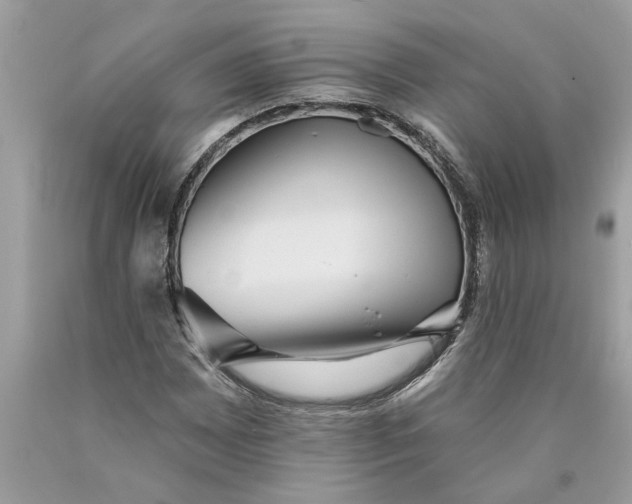 X0000089961065200707201943