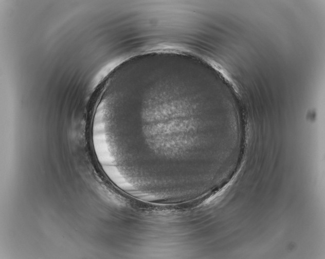 X0000089961066200707201943