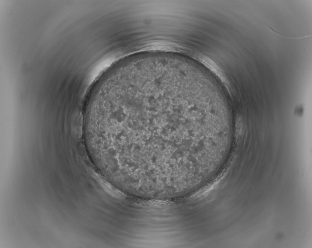 X0000089961067200707201943