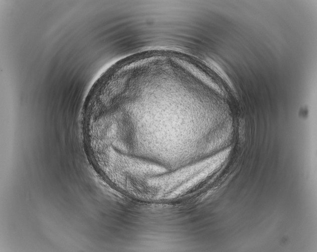 X0000089961068200707201943