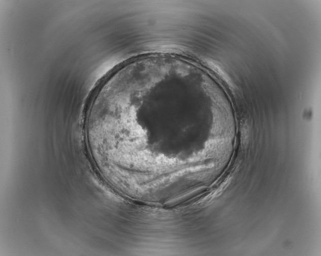 X0000089961071200707201943